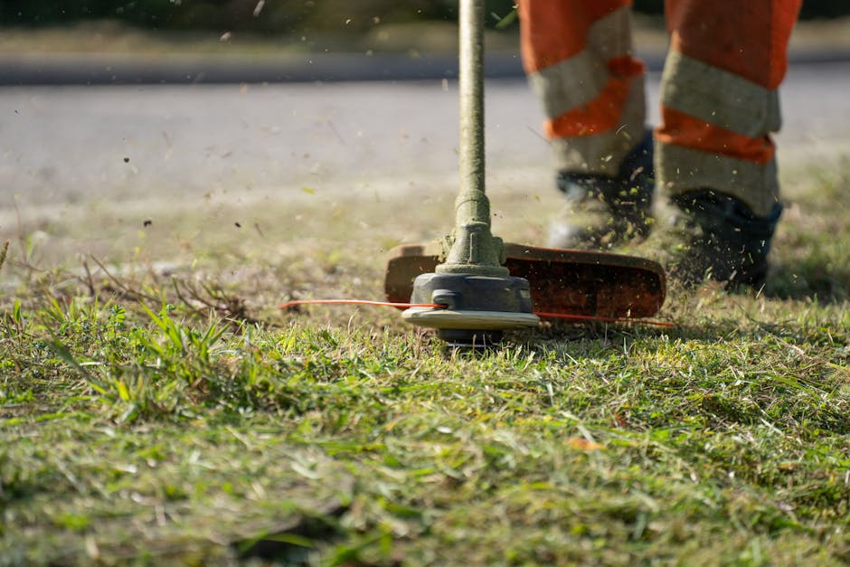 Professional lawn care worker inspecting commercial grounds