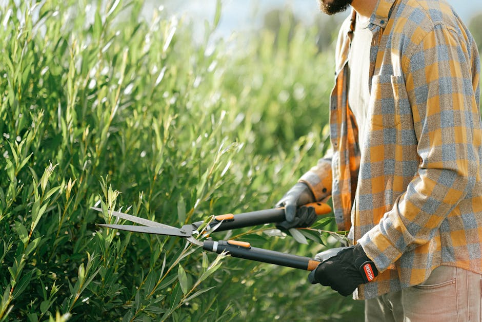 Worker trimming hedges and shrubs with shears